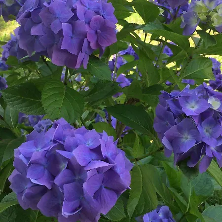 Xaran Erdian D'hotes 3*