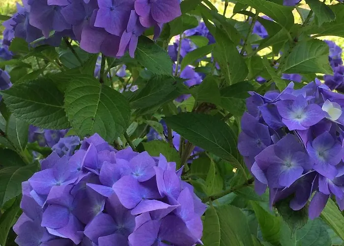 Xaran Erdian D'hotes 3*